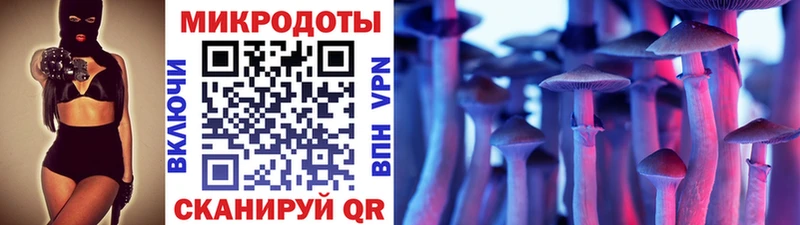Псилоцибиновые грибы Psilocybe  Купить закладки  Игарка 
